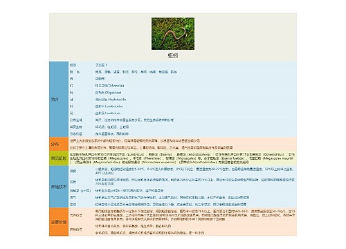 蚯蚓思维导图