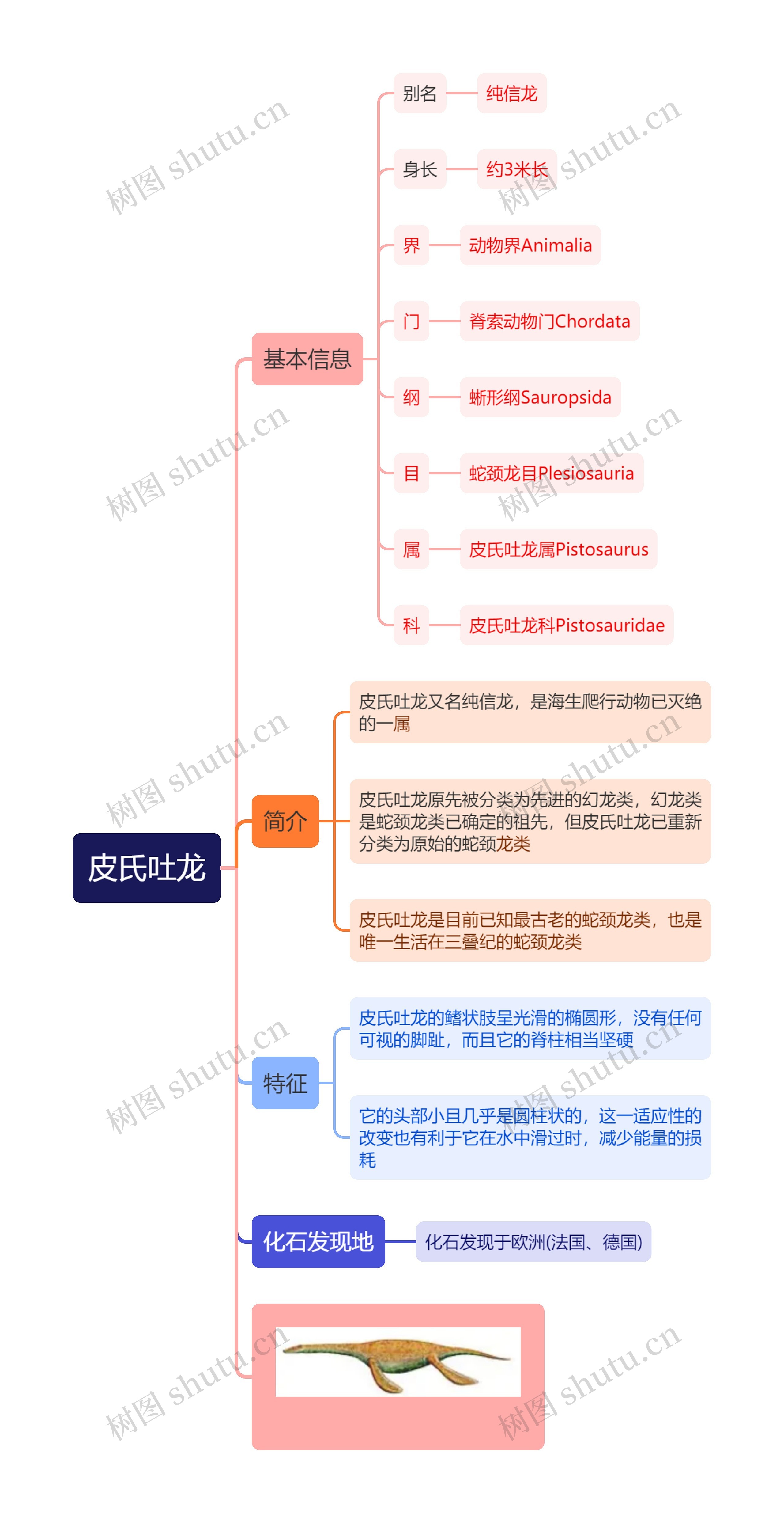 皮氏吐龙思维导图