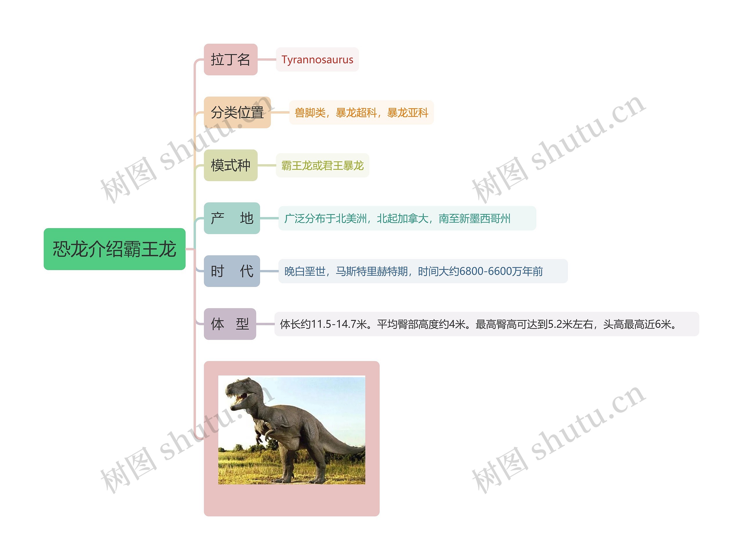 恐龙介绍霸王龙思维导图