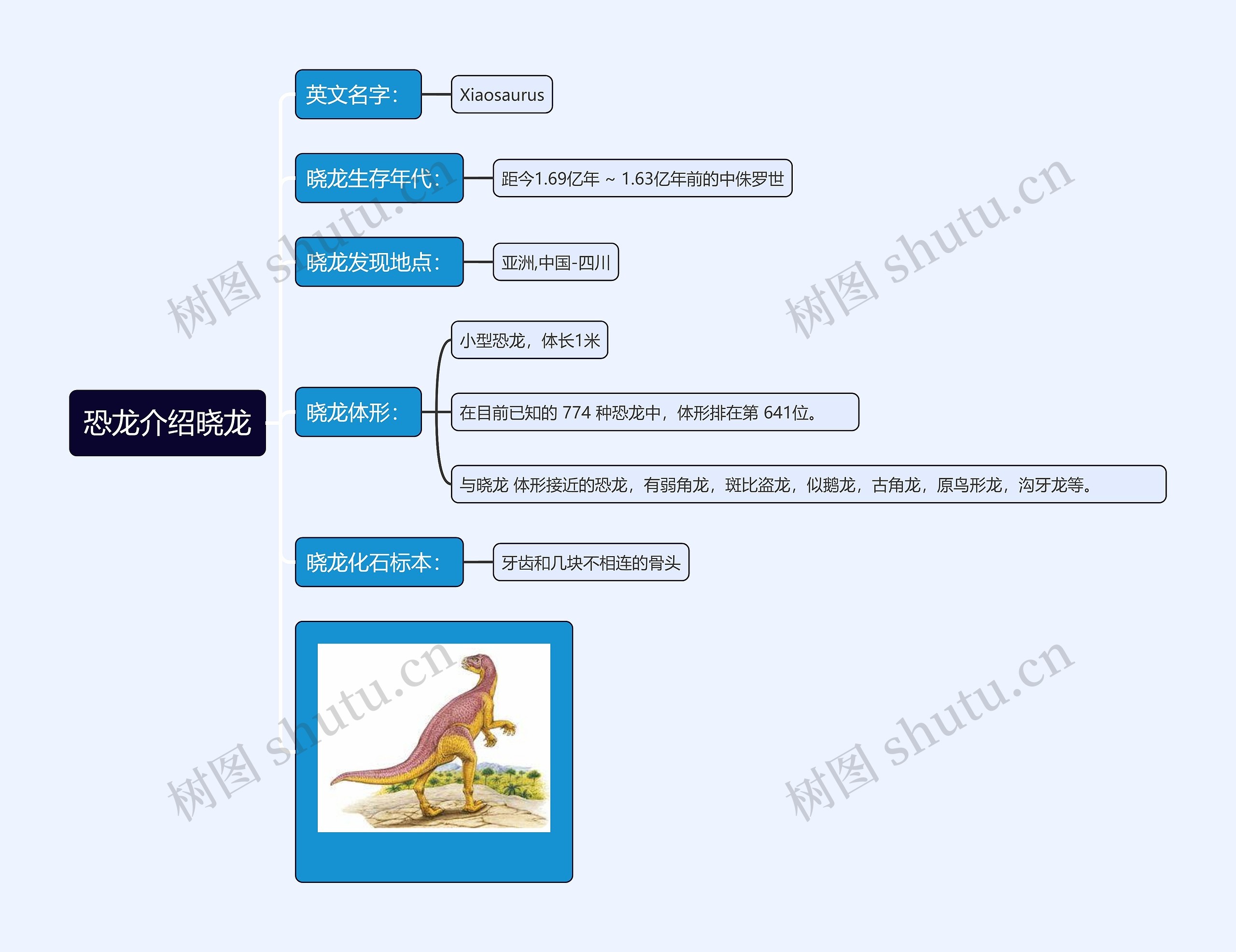 恐龙介绍晓龙思维导图