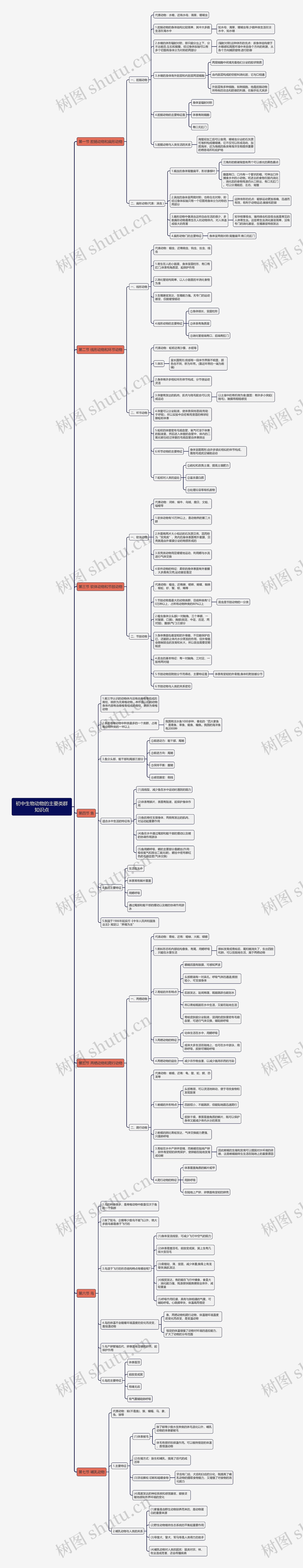 初中生物动物的主要类群知识点思维导图