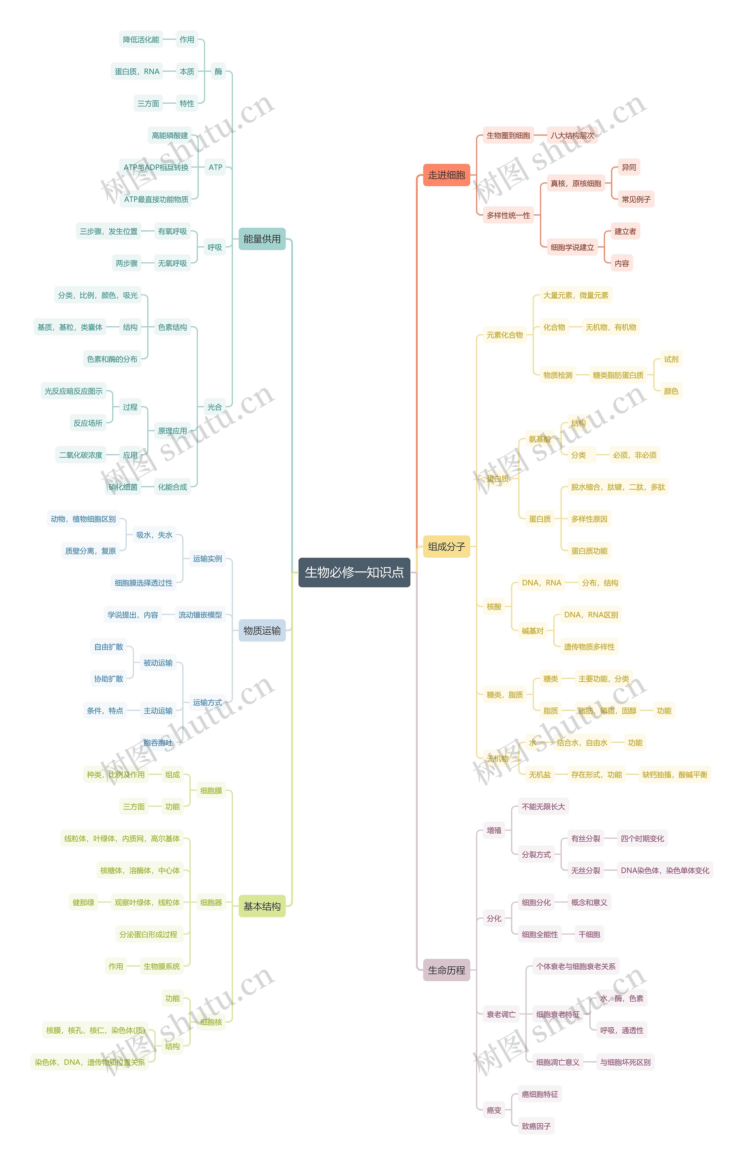 生物必修一知识点思维导图