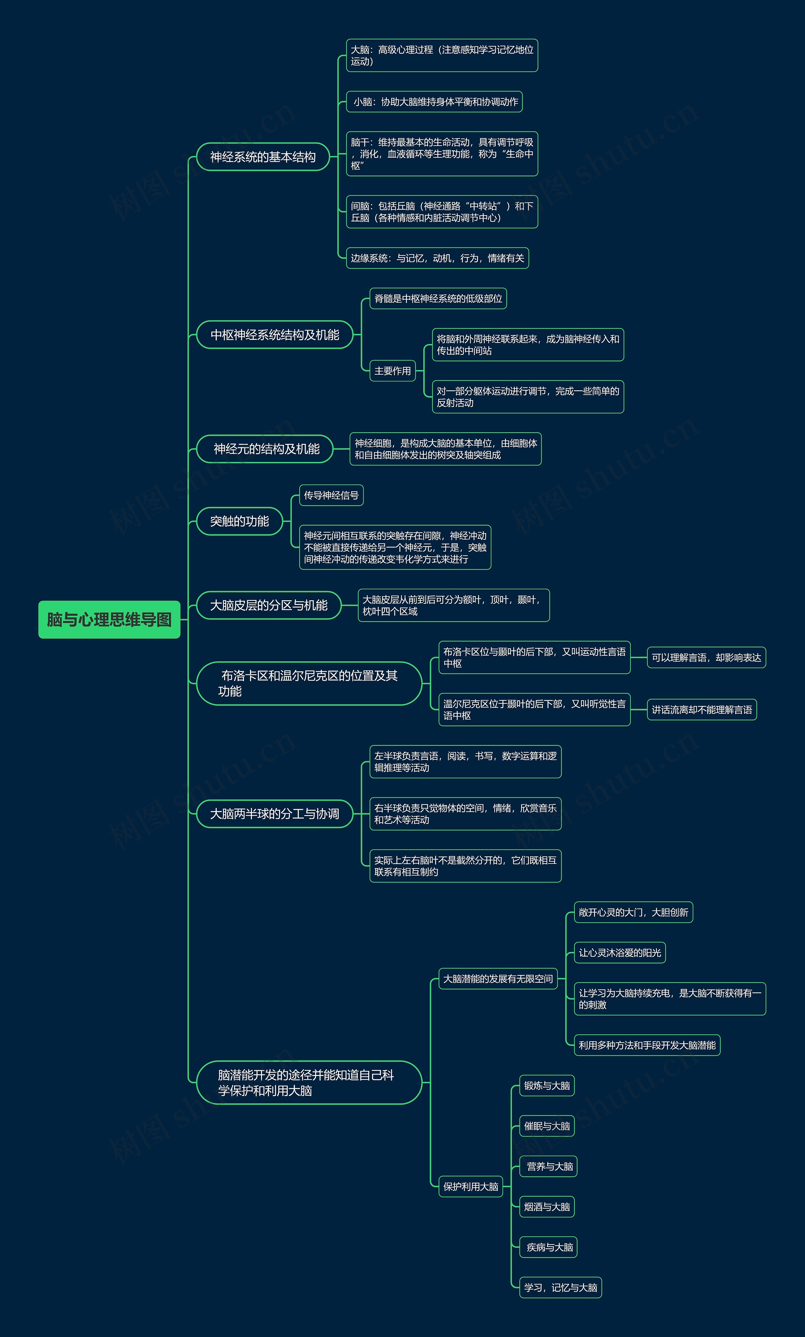 脑与心理思维导图高清图 脑与心理思维导图