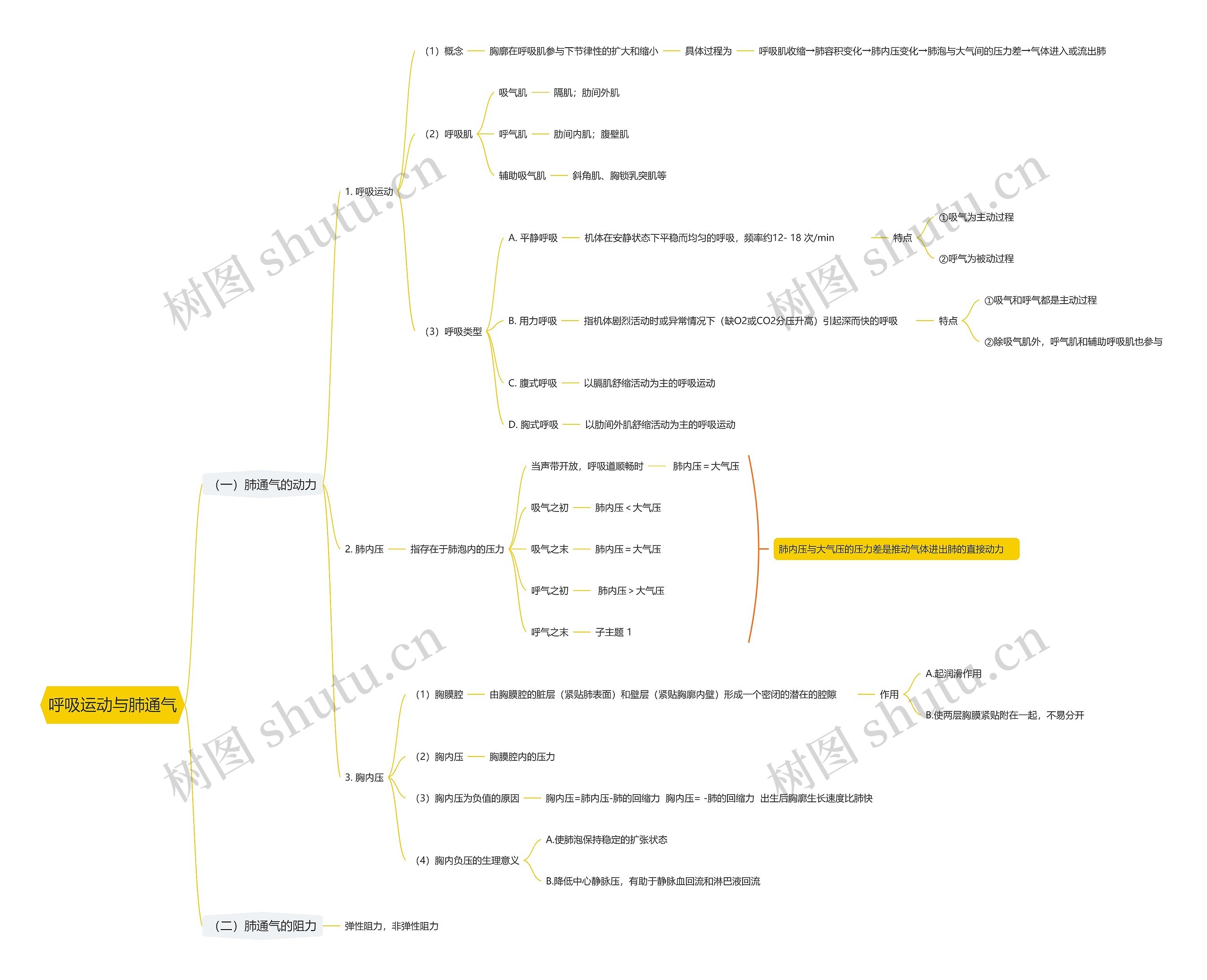 呼吸运动与肺通气思维导图