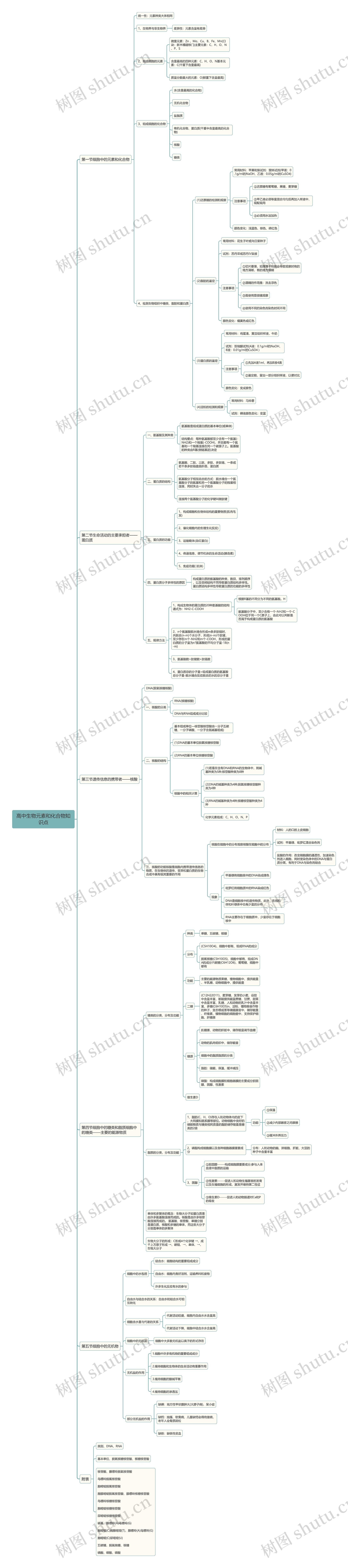 高中生物元素和化合物知识点思维导图