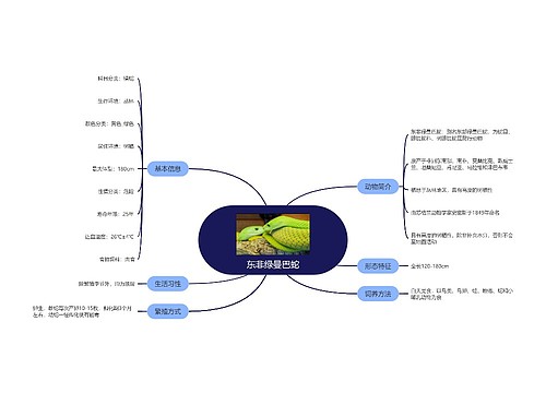 东非绿曼巴蛇