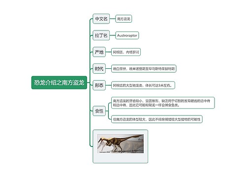 恐龙介绍之南方盗龙思维导图