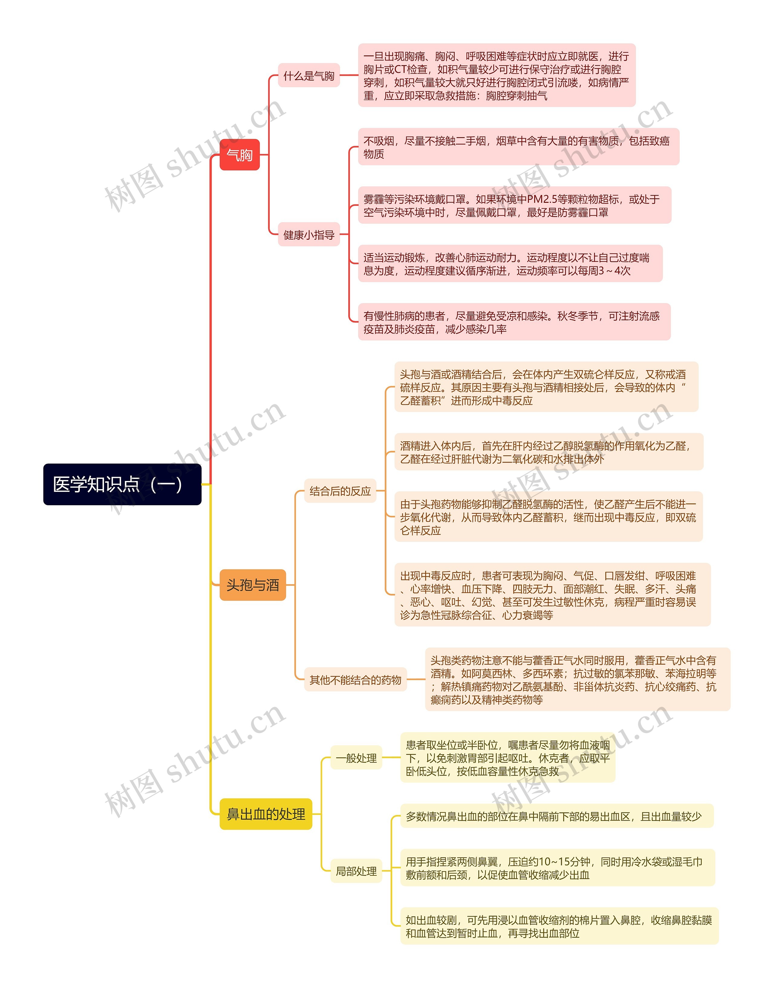 医学知识点（一）思维导图