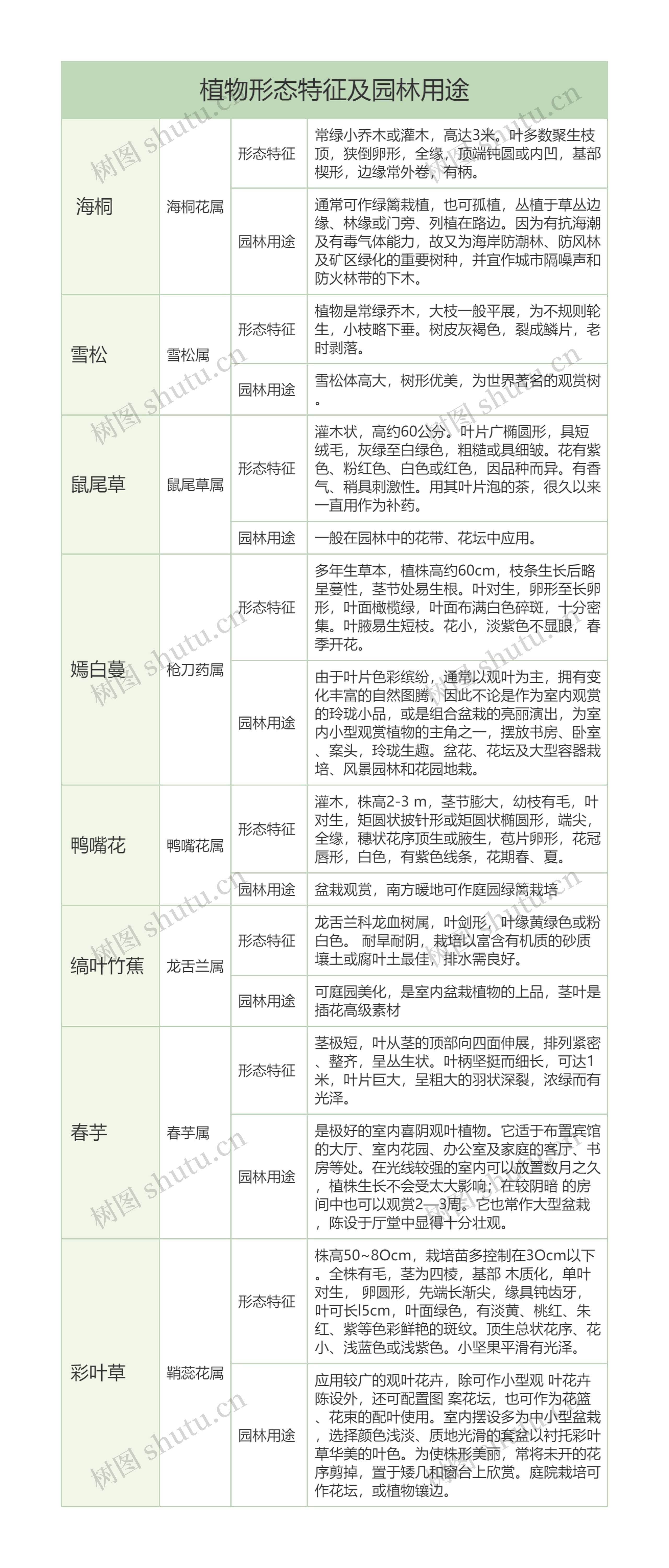 八种常见植物形态特征及园林用途树形表格