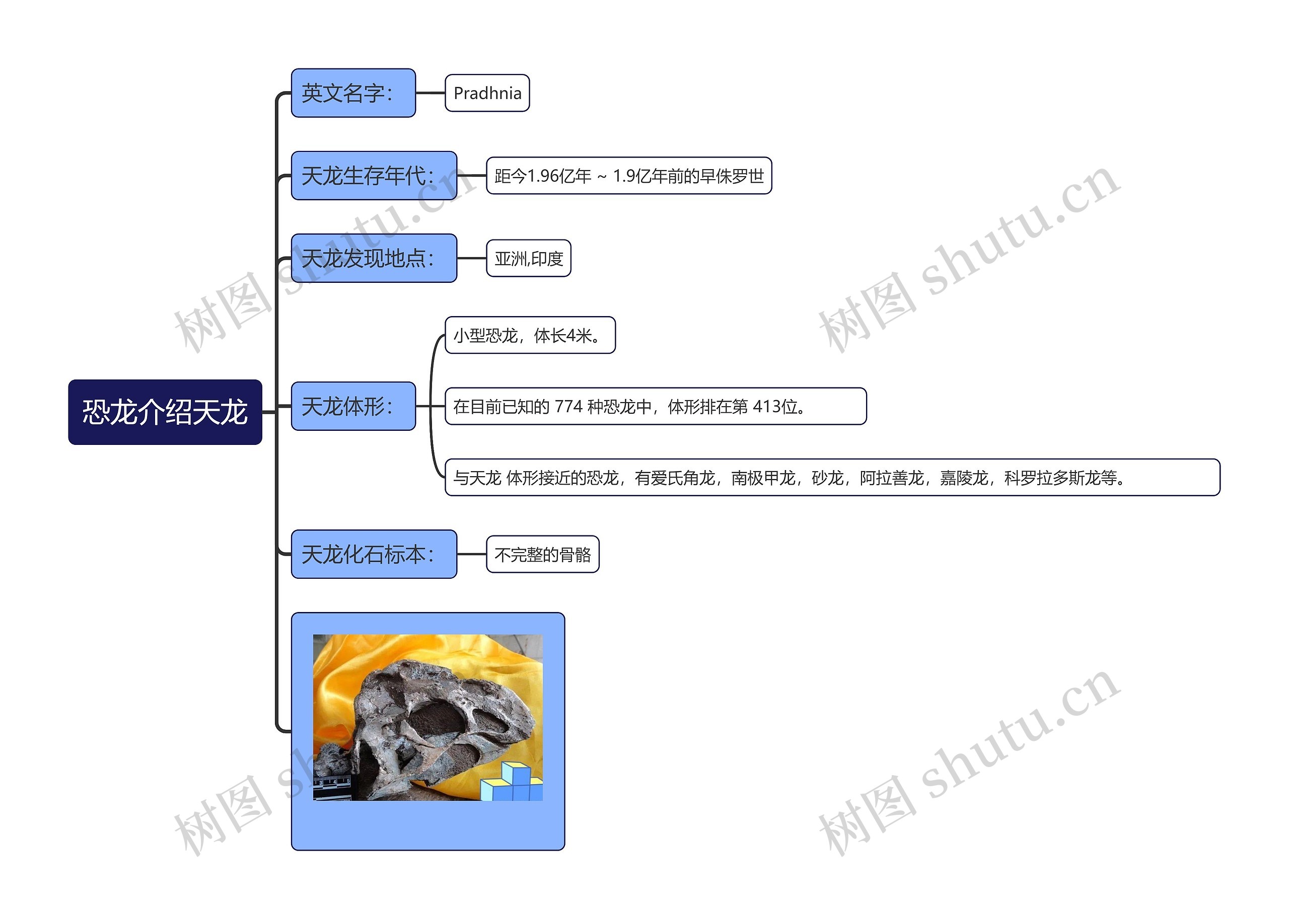 恐龙介绍天龙思维导图