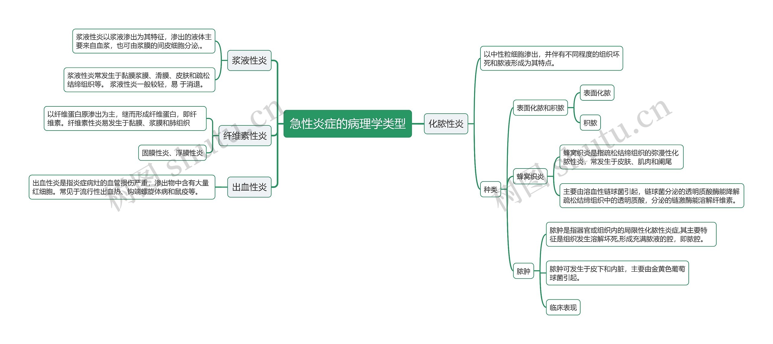 急性炎症的病理学类型思维导图