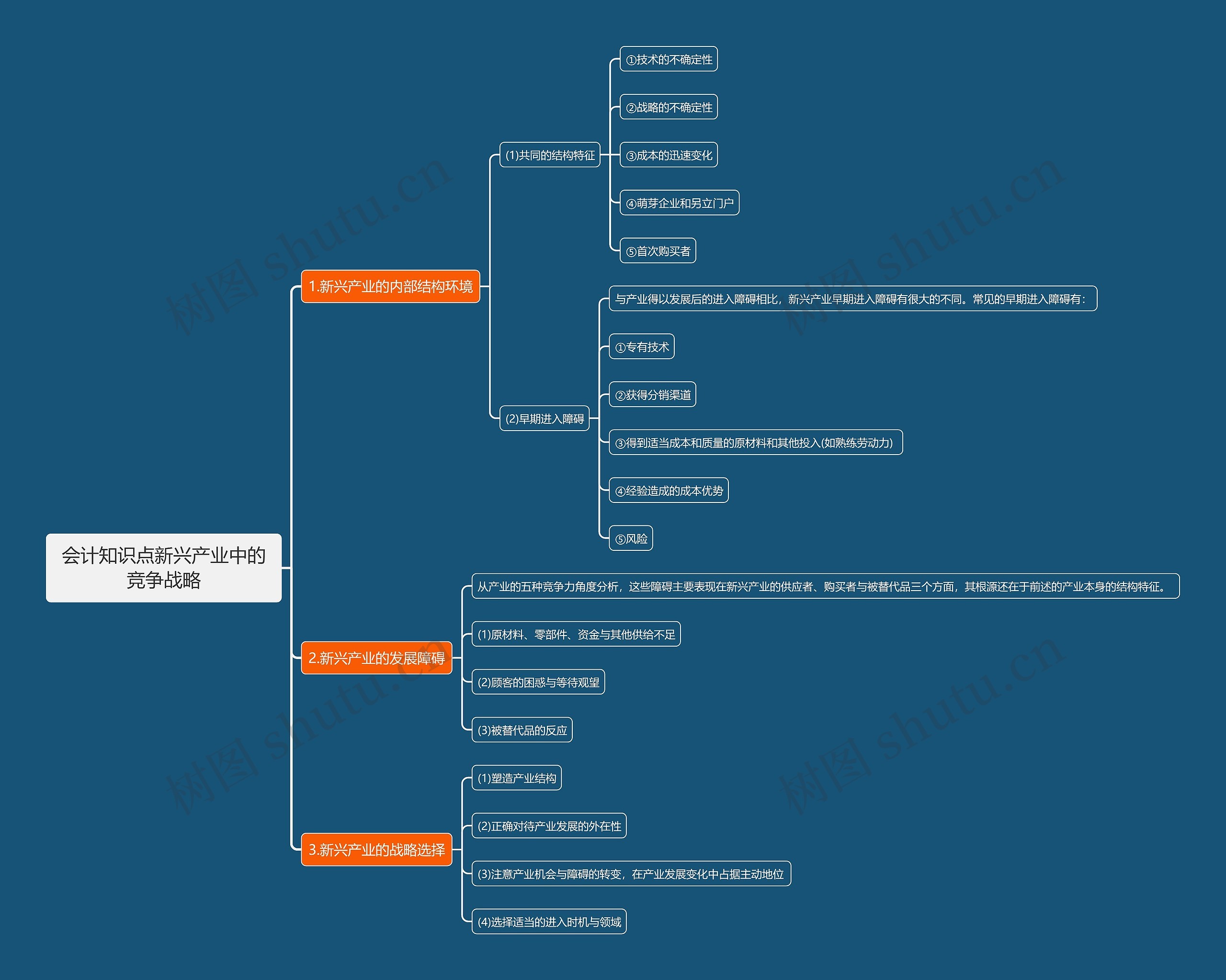 会计知识点新兴产业中的竞争战略思维导图
