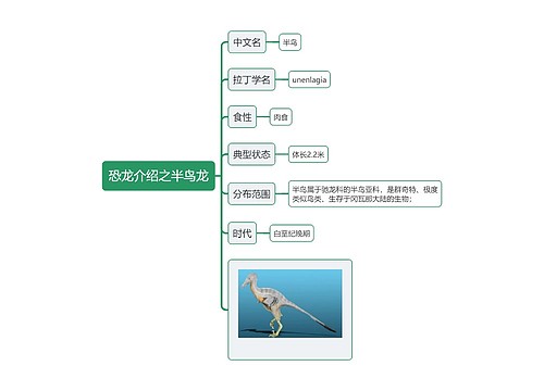 恐龙介绍之半鸟龙思维导图