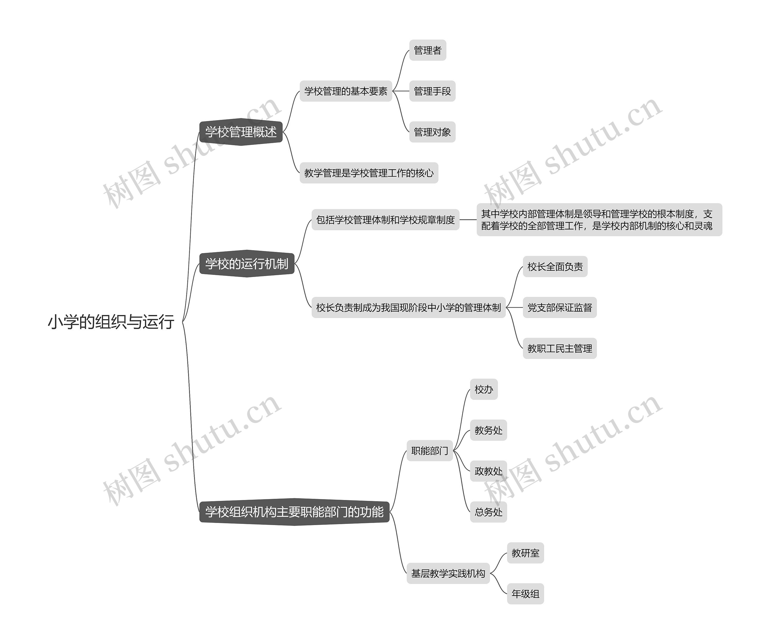 小学的组织与运行思维导图