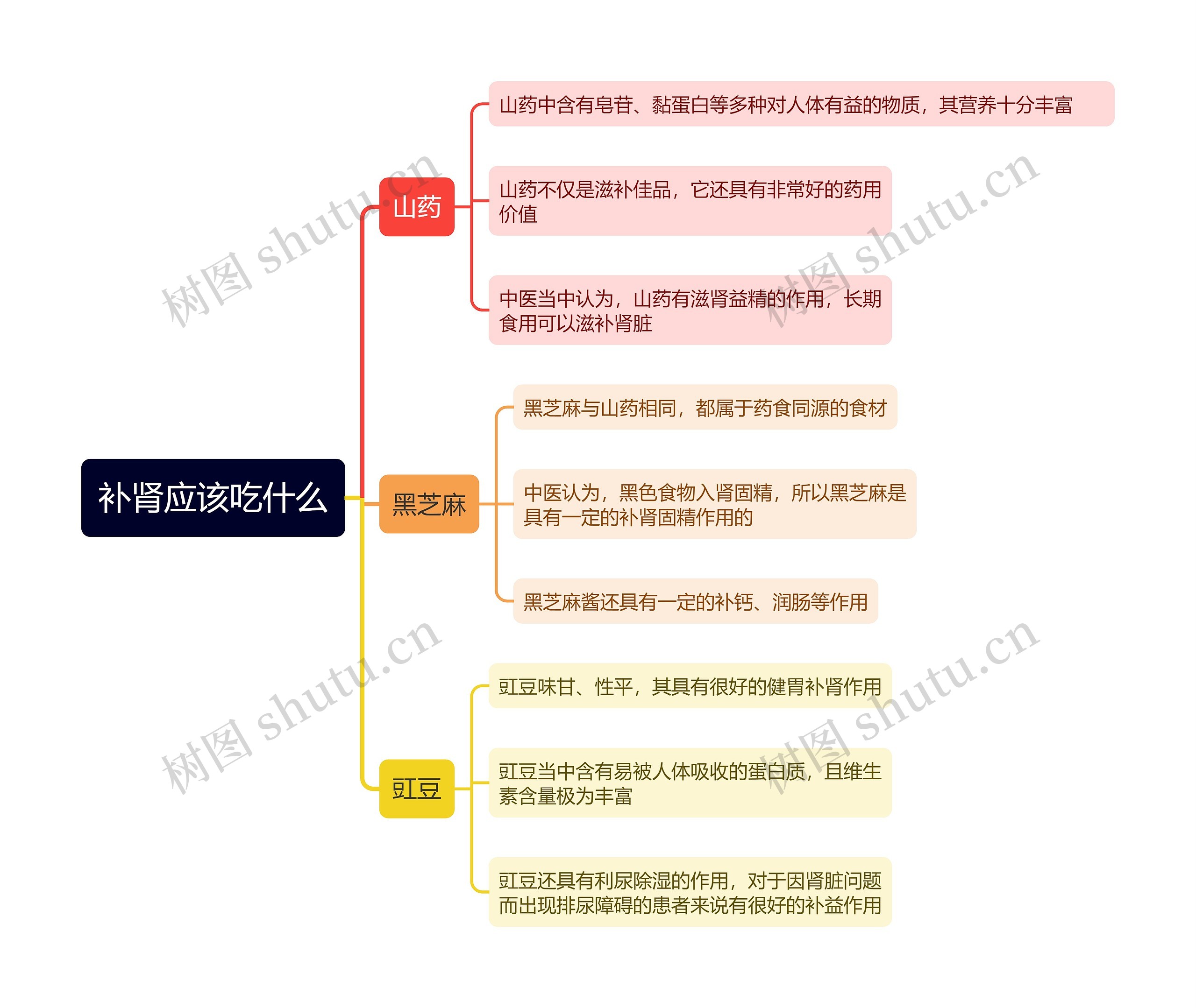 补肾应该吃什么