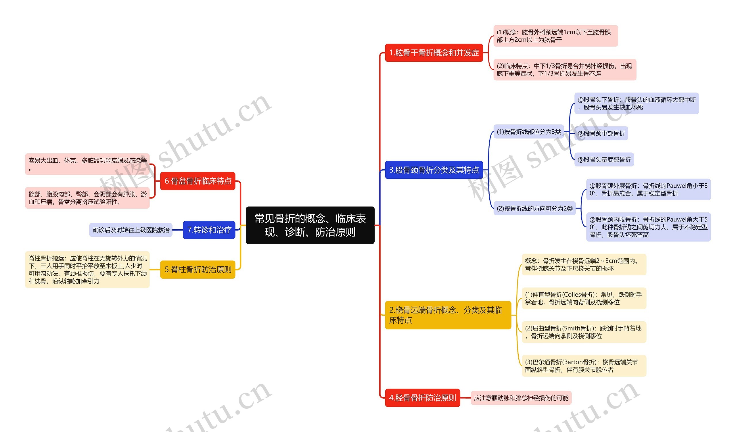 常见骨折的概念、临床表现、诊断、防治原则