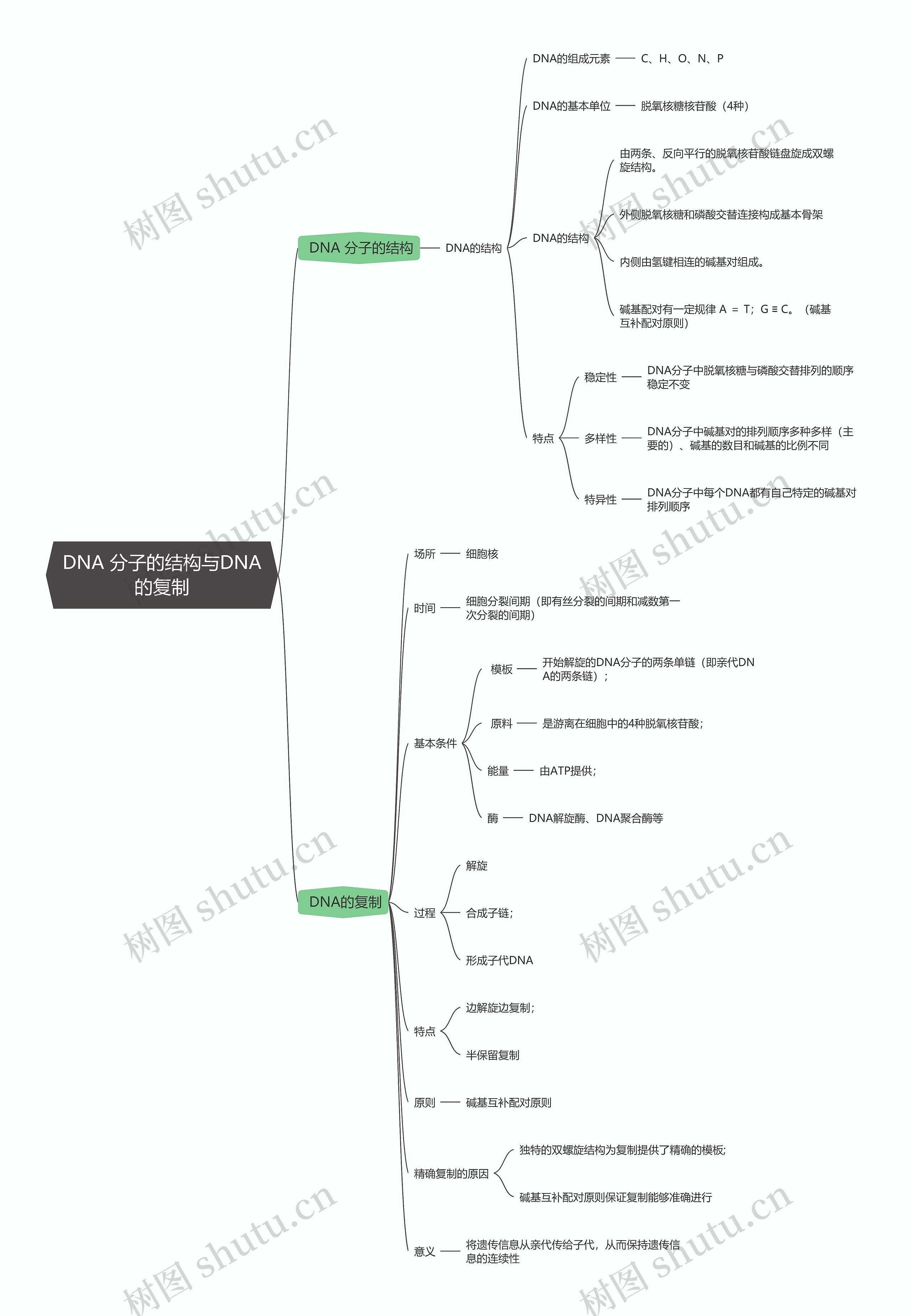 生物必修二   DNA 分子的结构与DNA的复制