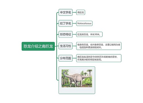 恐龙介绍之南巨龙思维导图