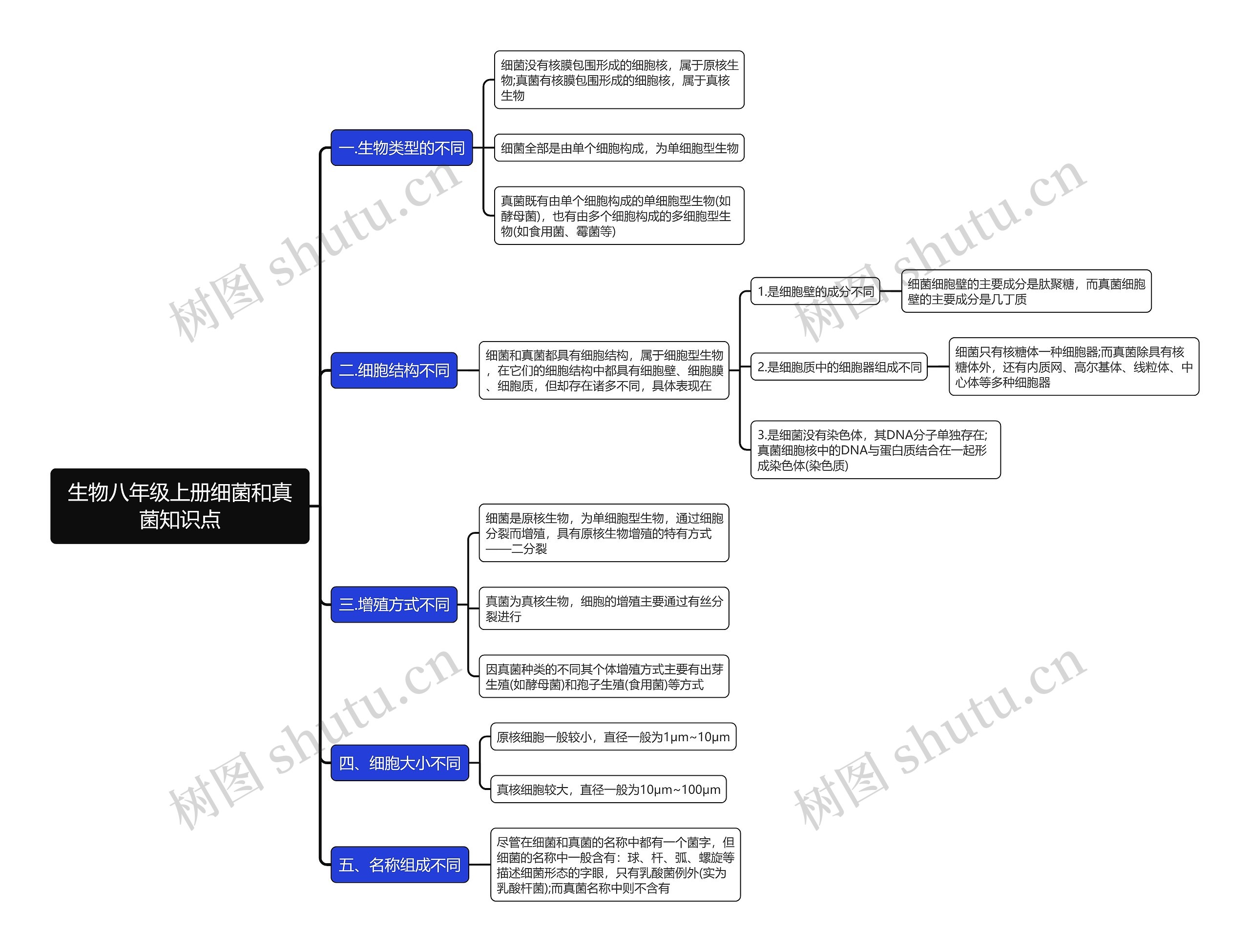 生物八年级上册细菌和真菌知识点思维导图