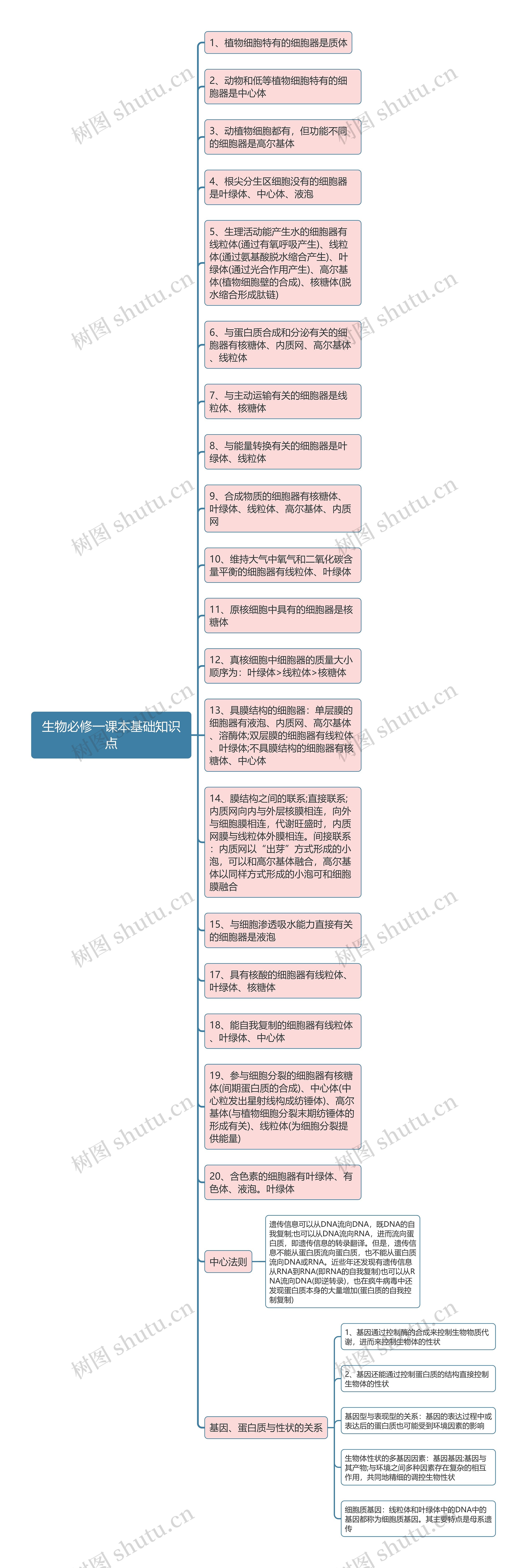 生物必修一课本基础知识点思维导图