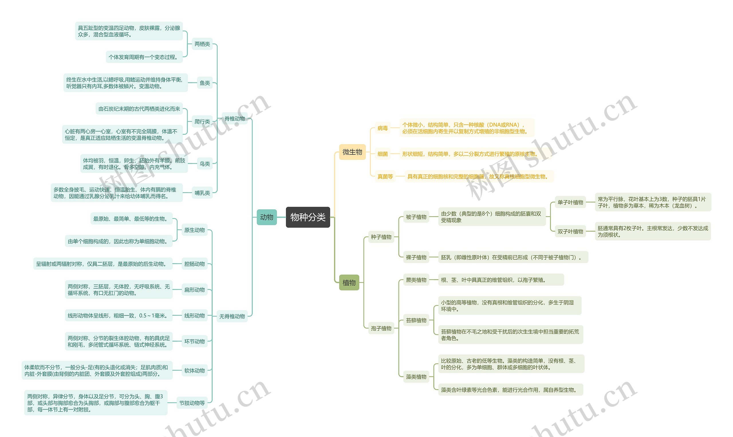 物种分类思维导图