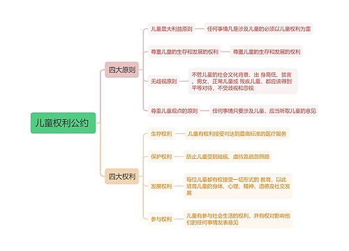 教资知识点：儿童权利公约