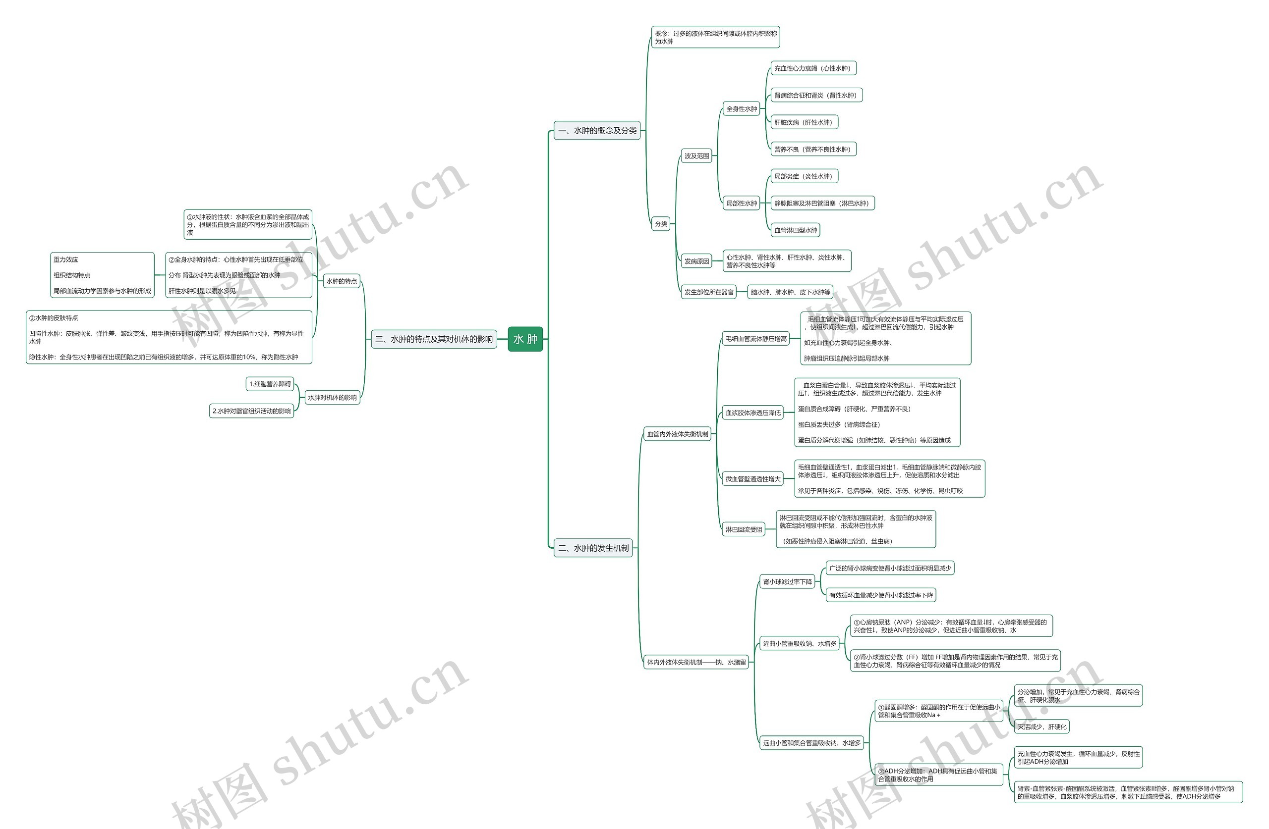 水肿思维导图