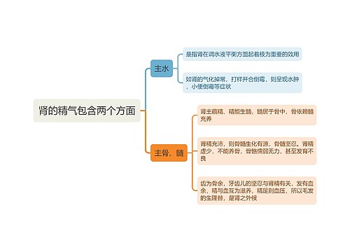 肾的精气包含两个方面思维导图