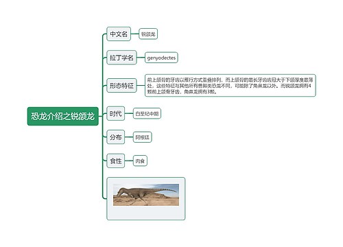 恐龙介绍之锐颌龙思维导图