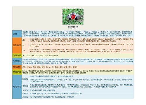 斑衣蜡蝉思维导图