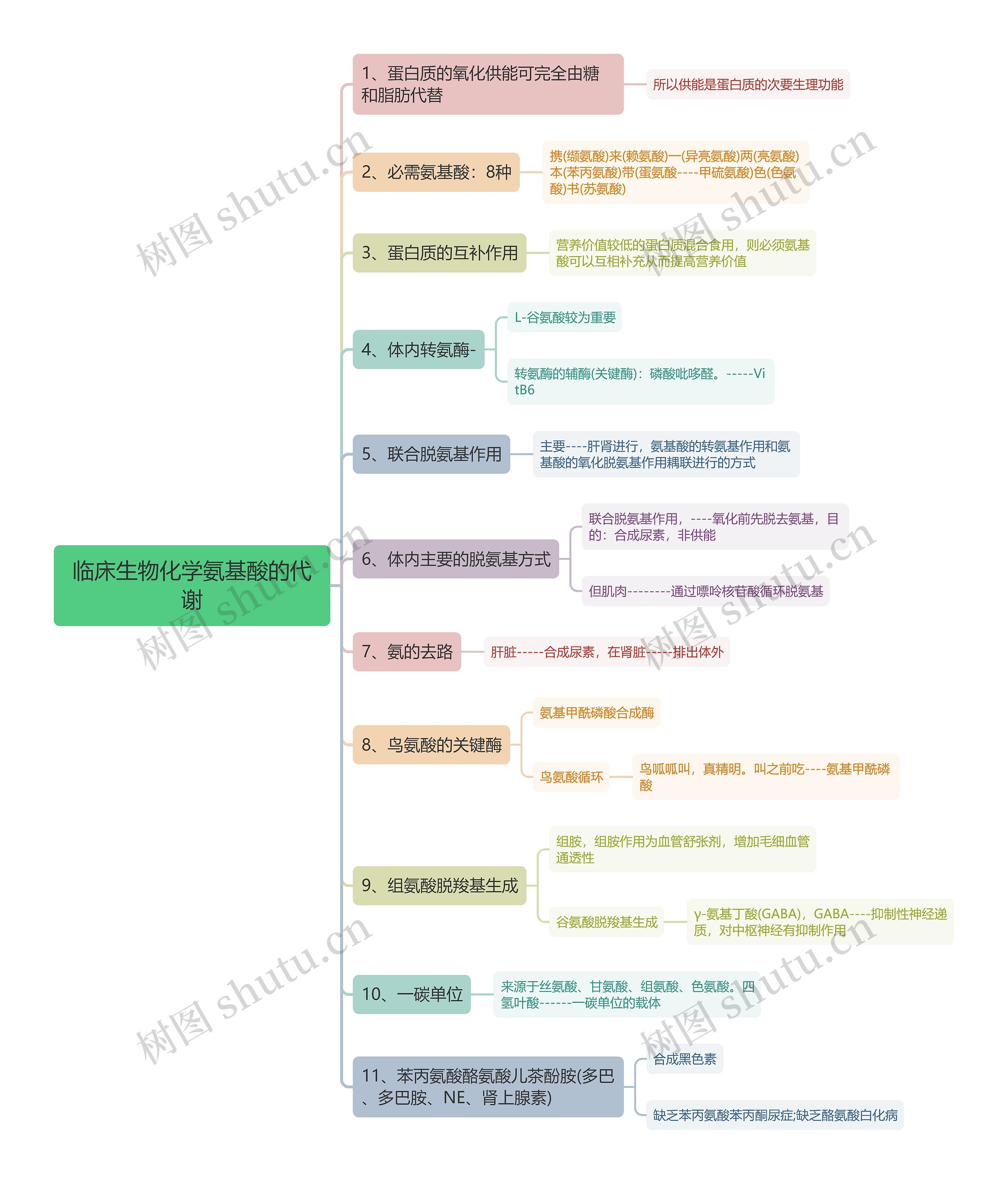 临床生物化学氨基酸的代谢思维导图