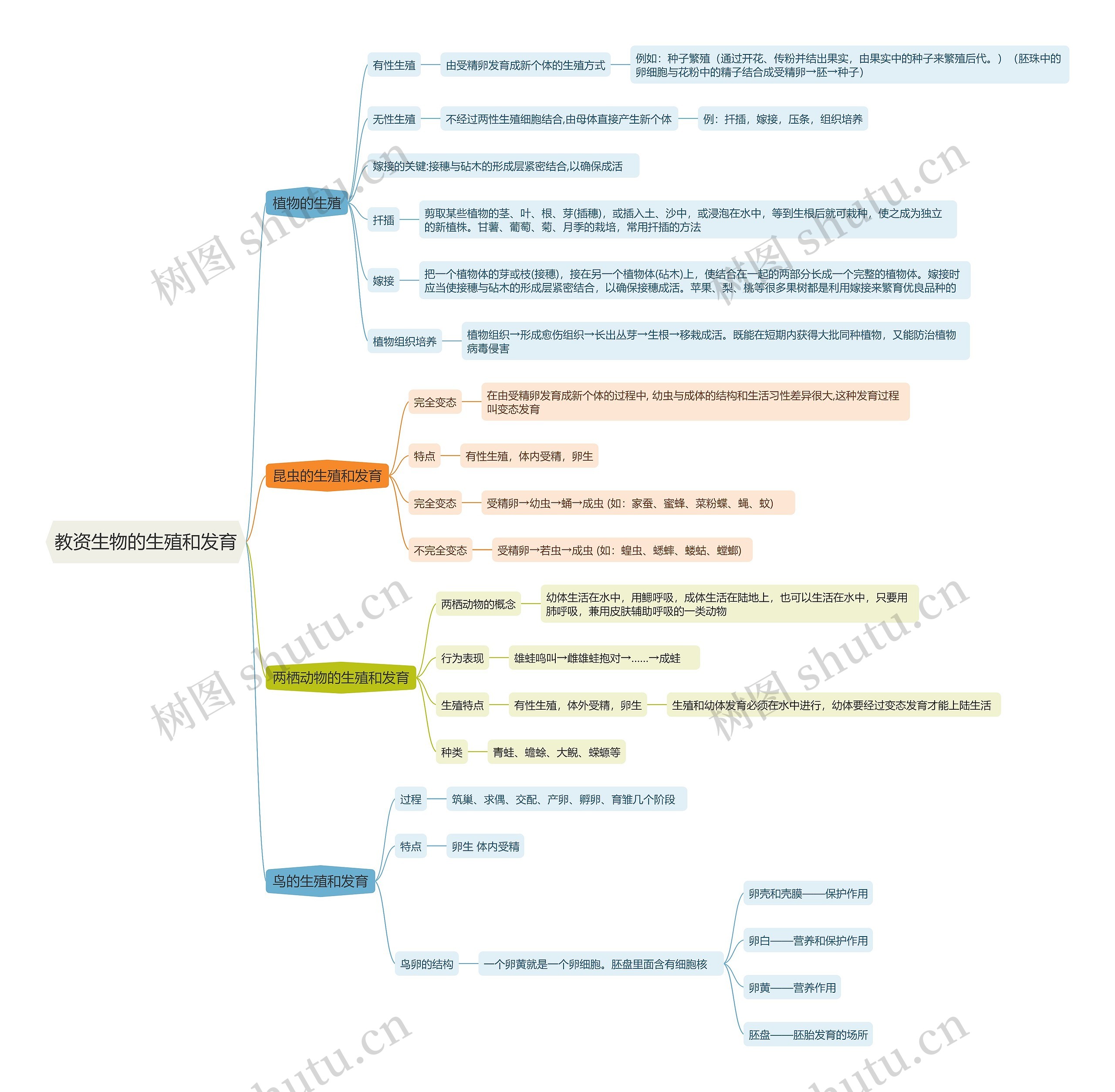 教资生物的生殖和发育思维导图