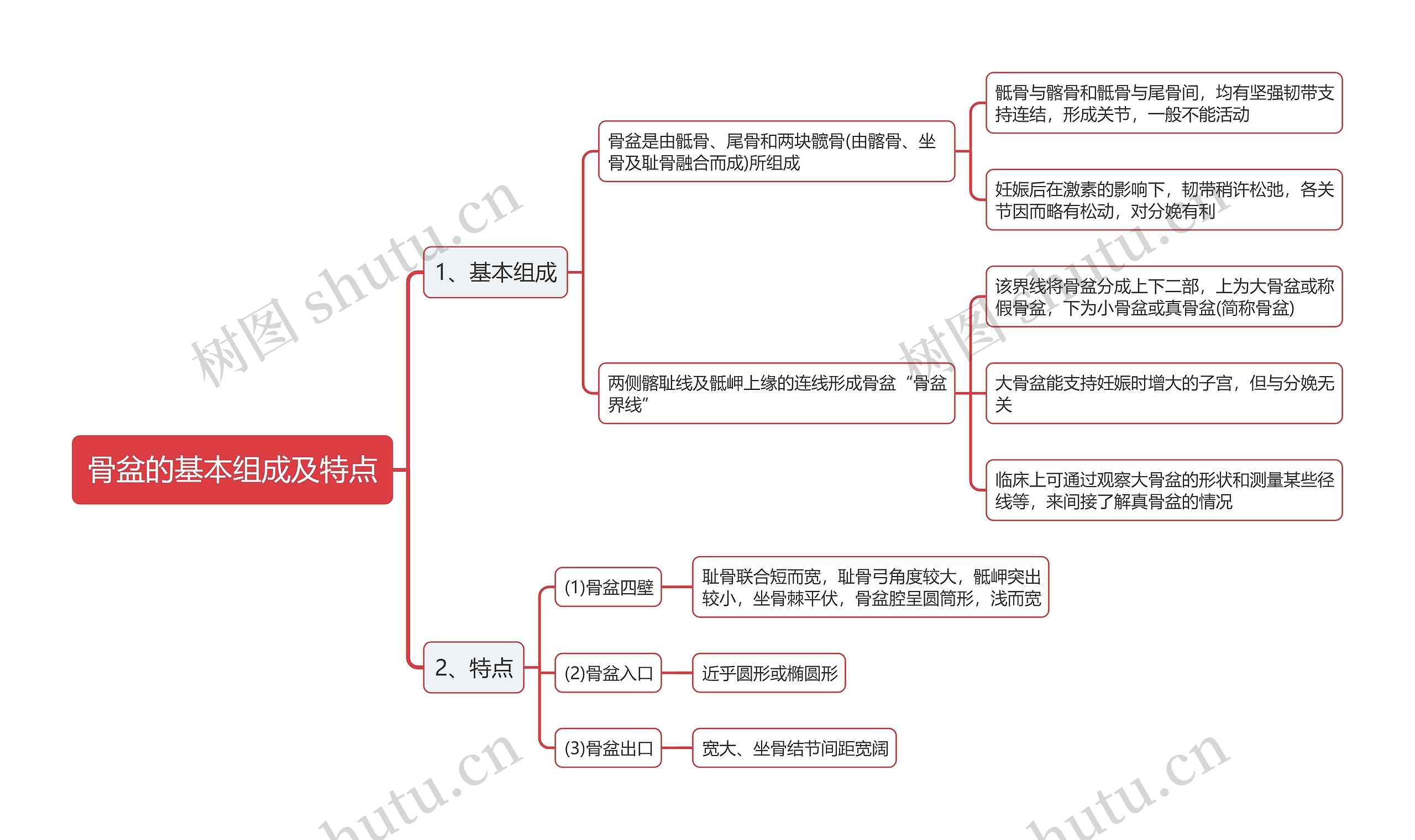 骨盆的基本组成及特点思维导图