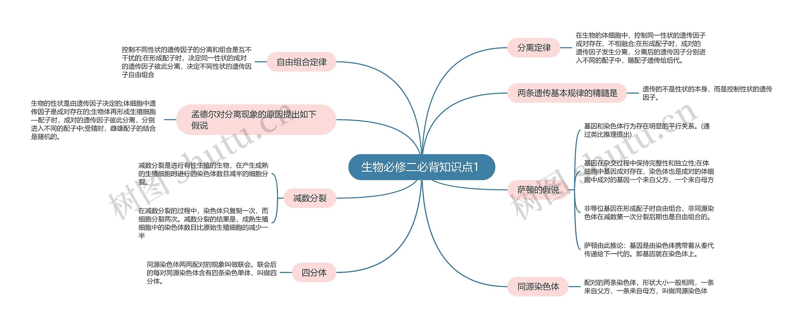 生物必修二必背知识点1 