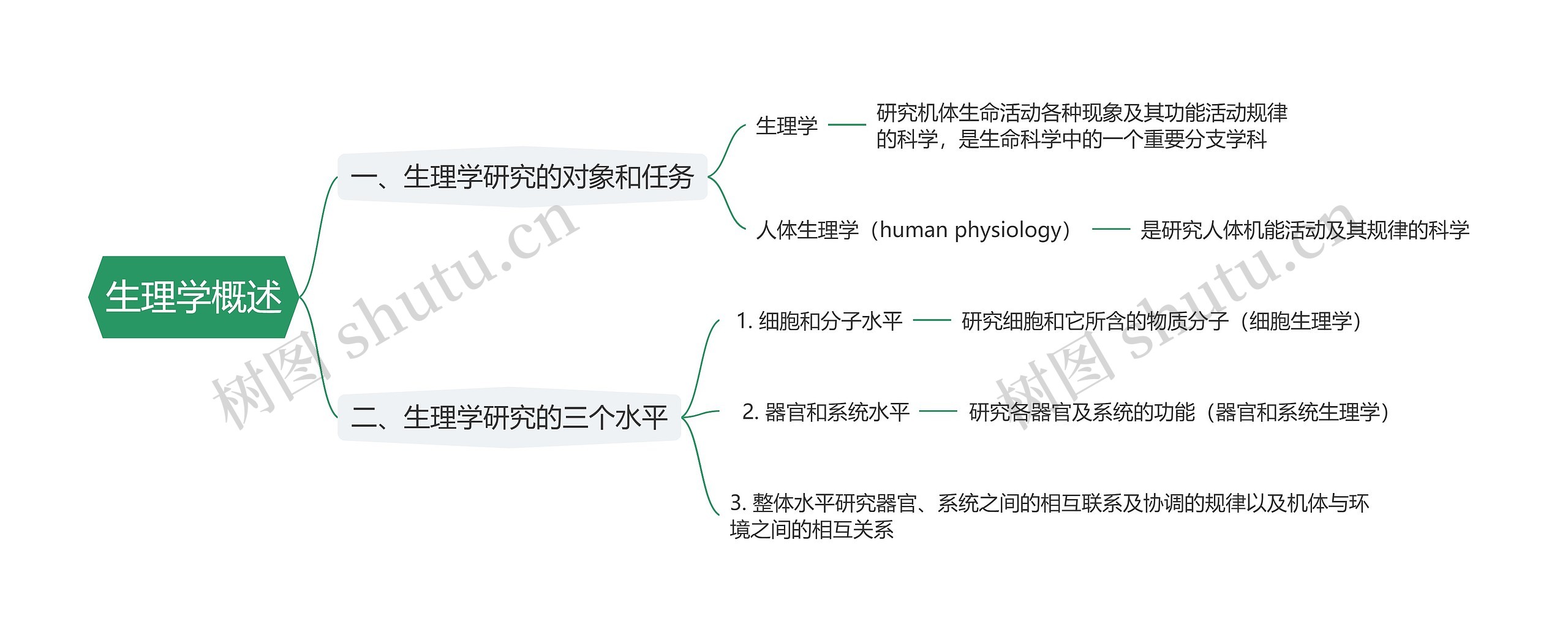 生理学概述思维导图