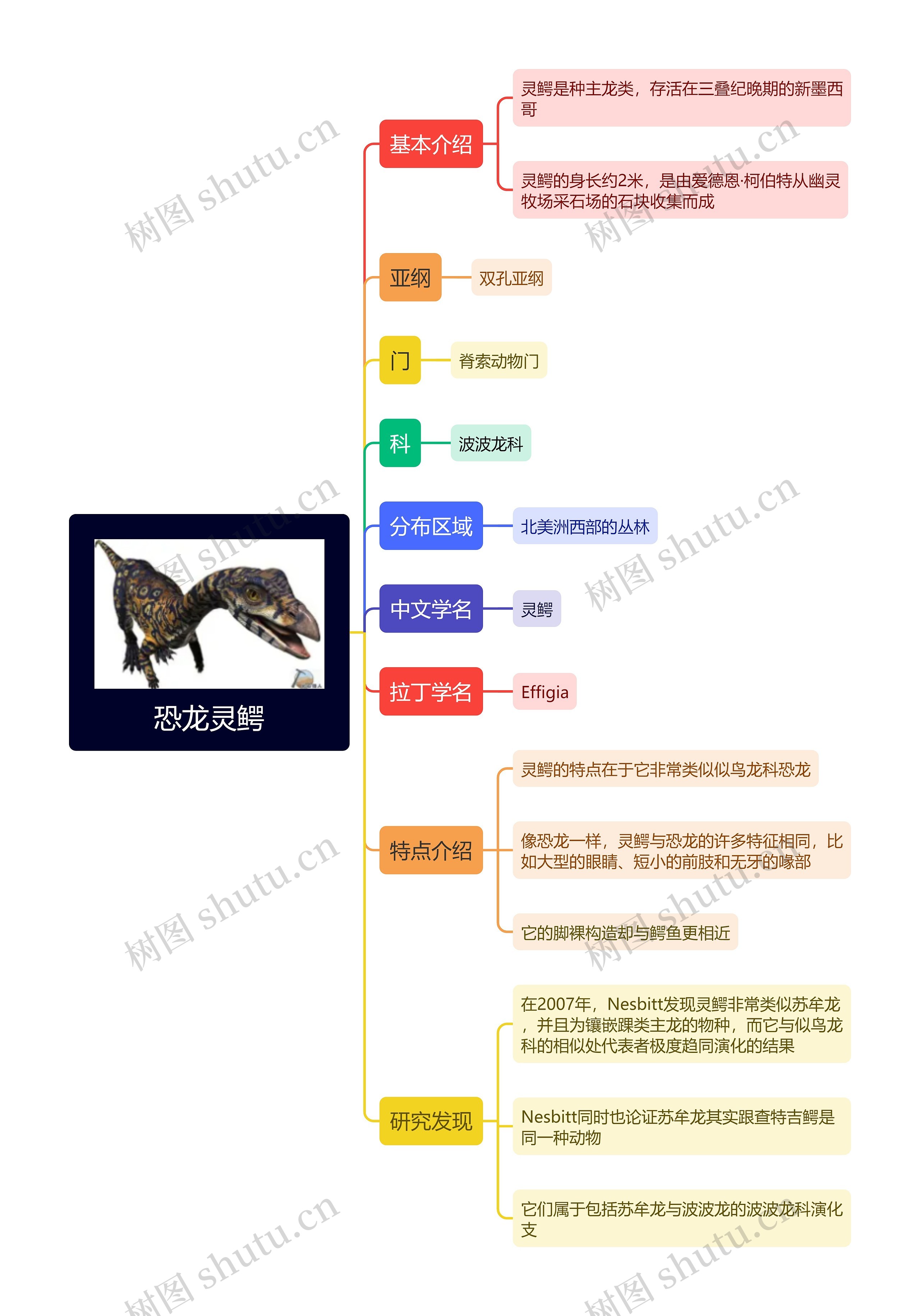 恐龙灵鳄思维导图