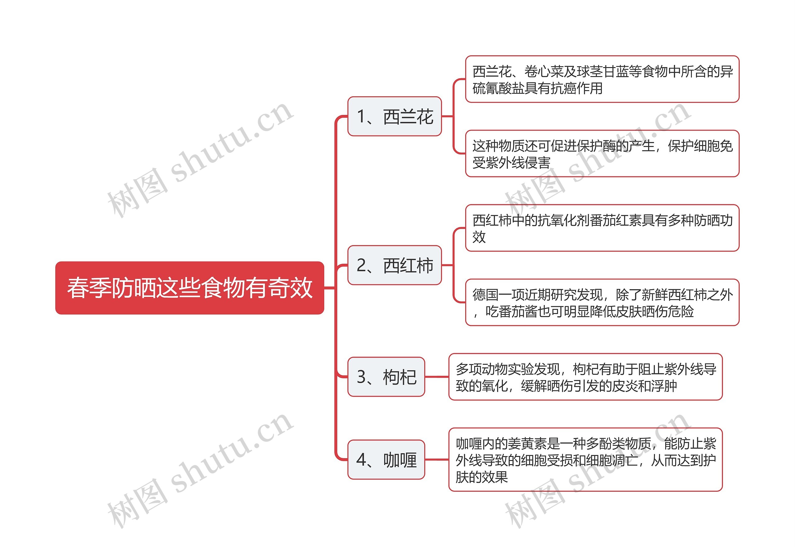 春季防晒这些食物有奇效思维导图