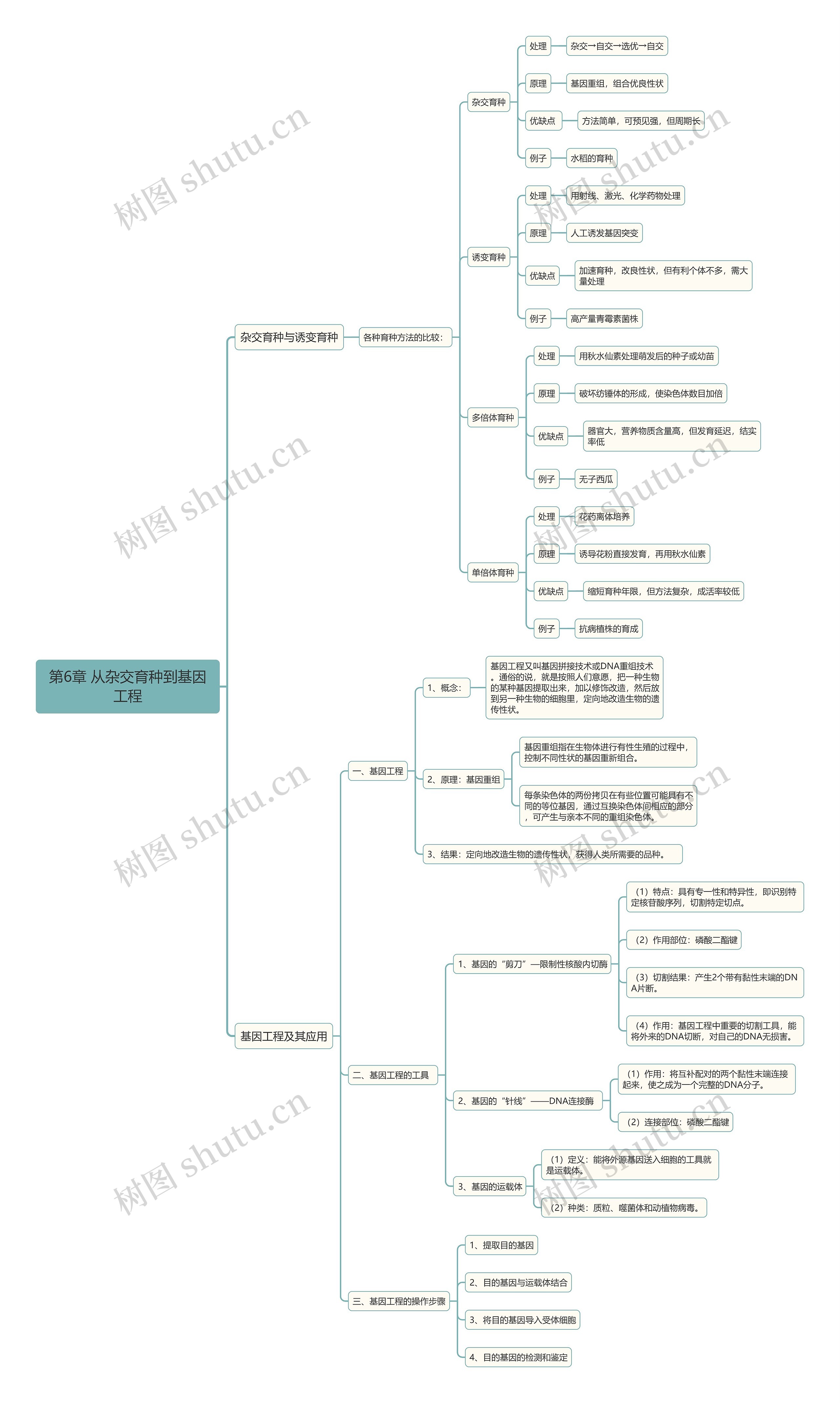 生物必修二从杂交育种到基因工程思维导图