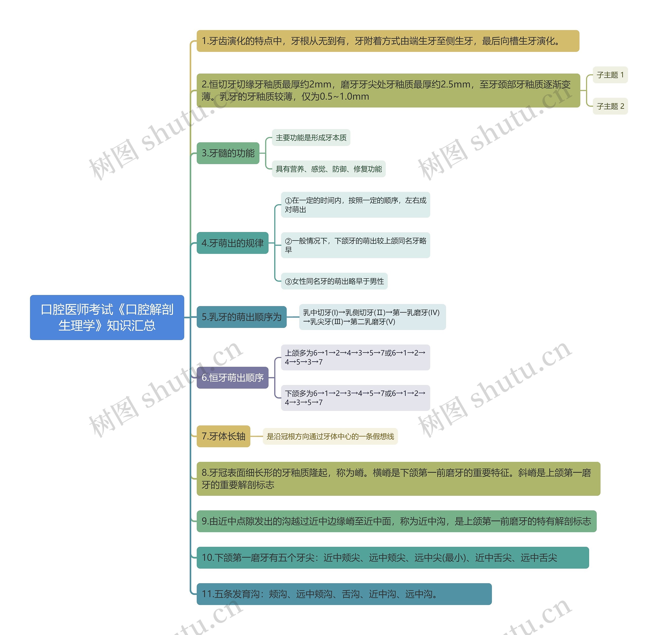 口腔医师考试《口腔解剖生理学》知识汇总