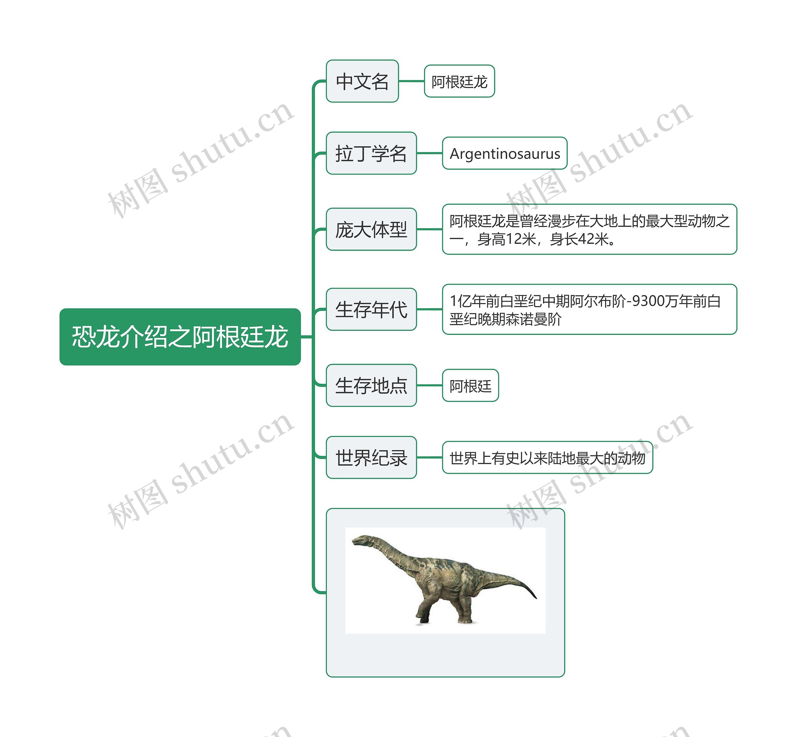 恐龙介绍之阿根廷龙思维导图