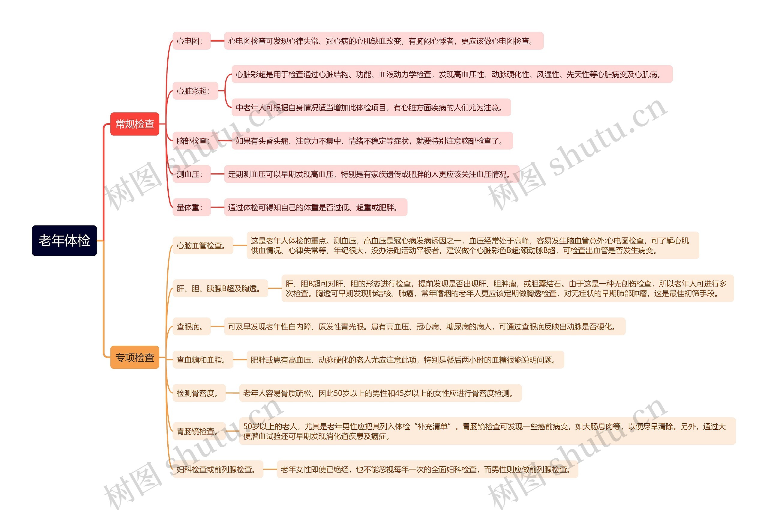 老年体检思维导图
