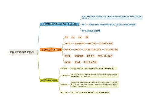 细胞是怎样构成生物体一思维导图