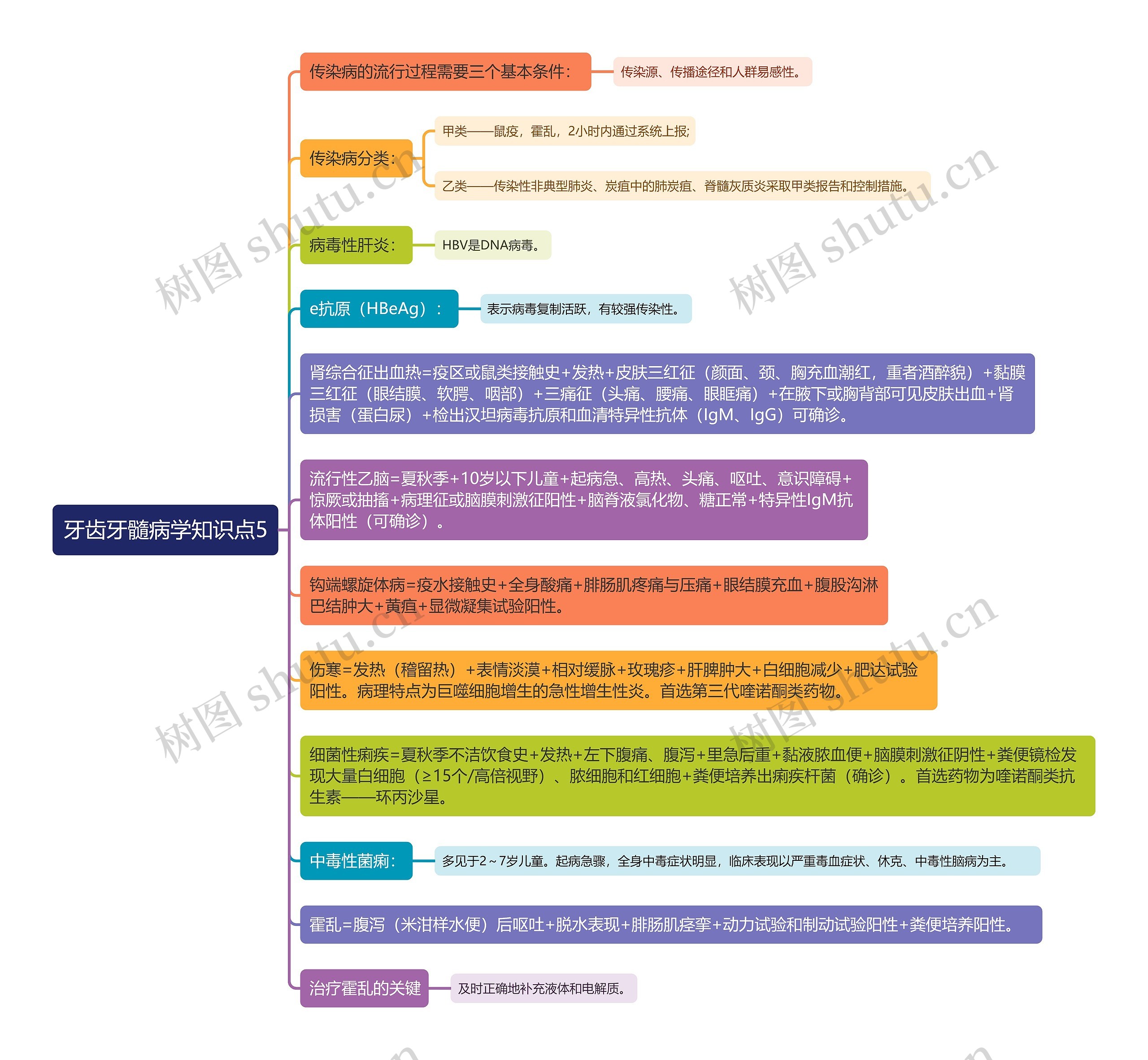 牙齿牙髓病学知识点5