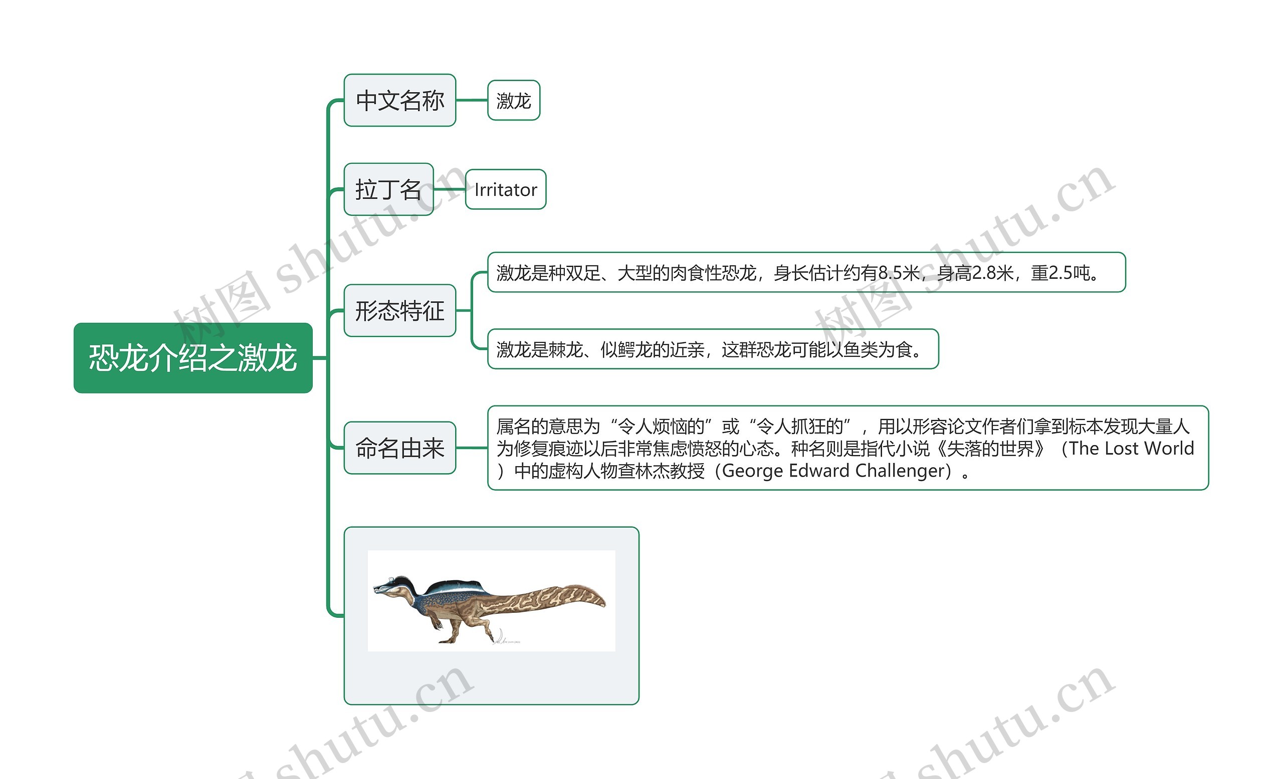 恐龙介绍之激龙思维导图