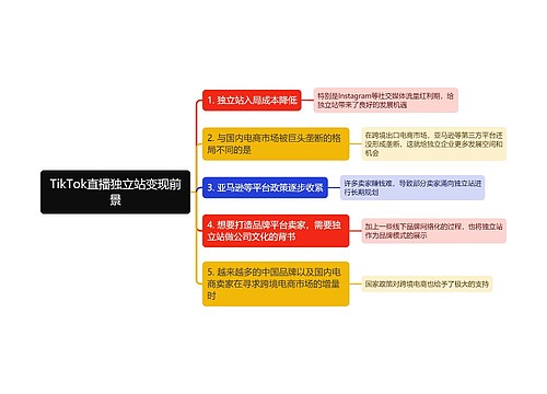 TikTok直播独立站变现前景思维导图