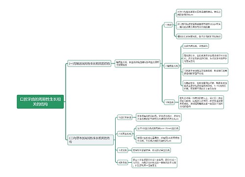 口腔牙齿的周期性生长相关的结构思维导图