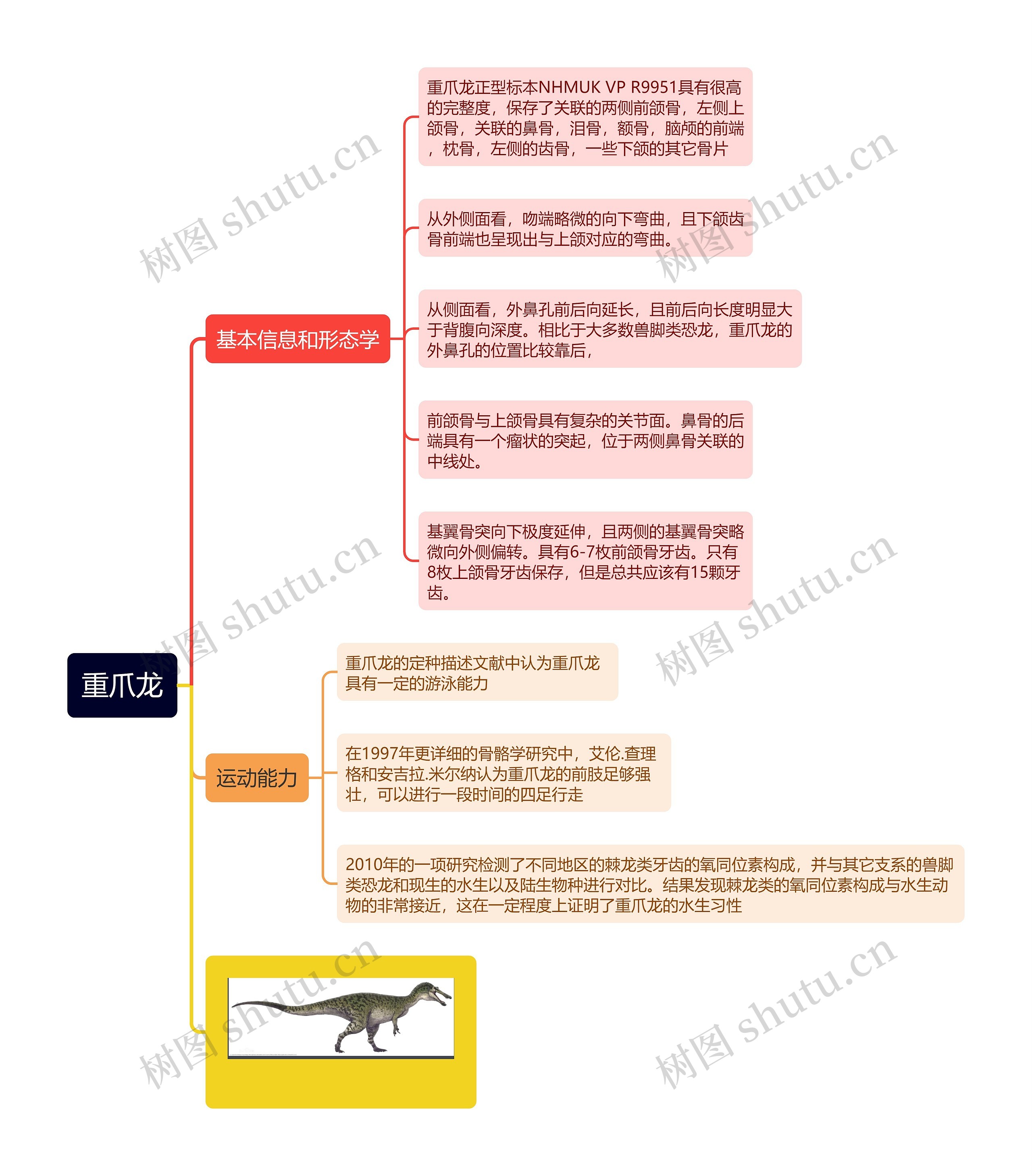 重爪龙思维导图