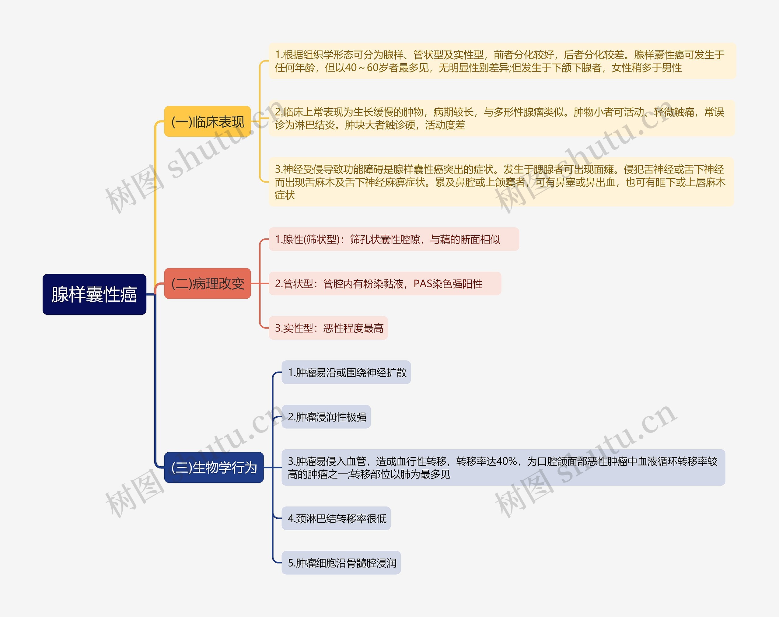 腺样囊性癌思维导图