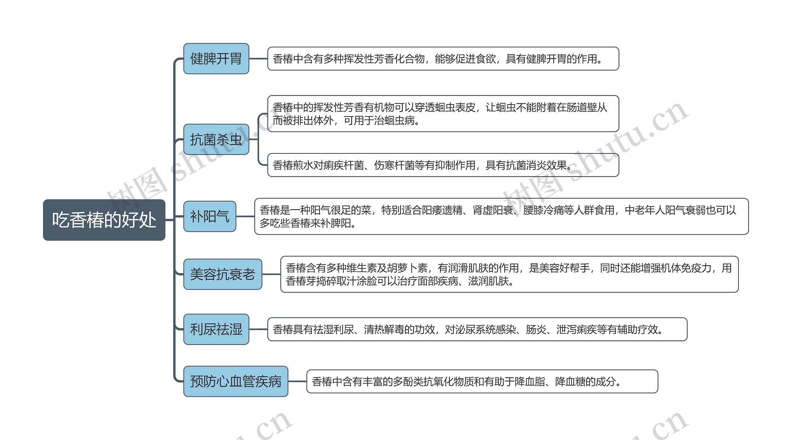 吃香椿的好处思维导图