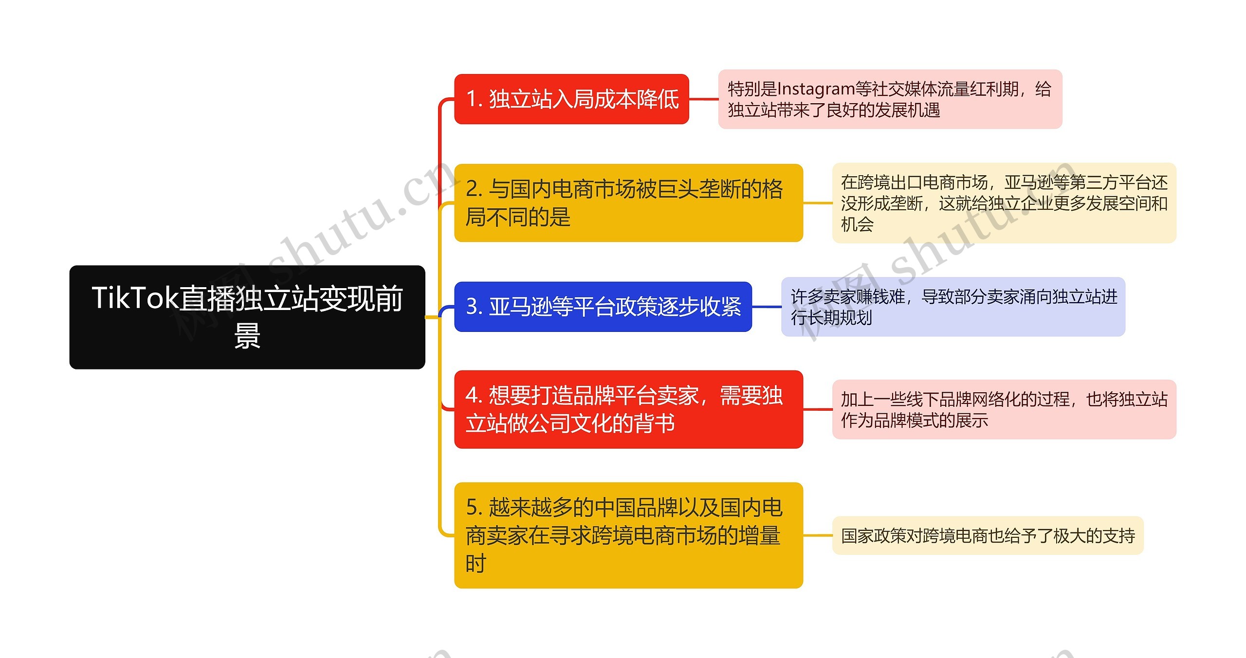 TikTok直播独立站变现前景思维导图